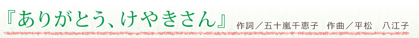 白鳥幼稚園園歌『ありがとうけやきさん』