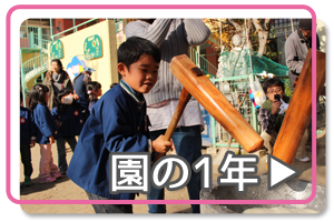 園の1年